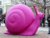A gay snail