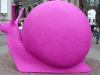 A shopping snail