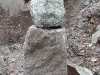 a stoned guy