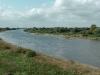 The Elbe river